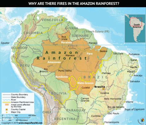 Training and Certification Options for MAP Map of the Amazon Rainforest